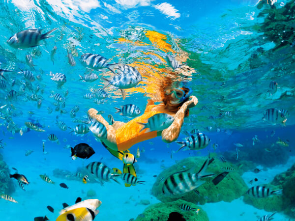 Bora Bora Vacation