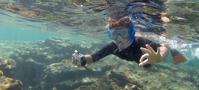 Snorkelling at Playa de las Canteras, Las Palmas de Gran Canaria