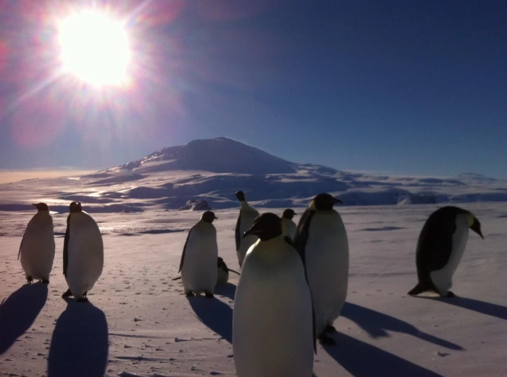 Antarctica Cruise