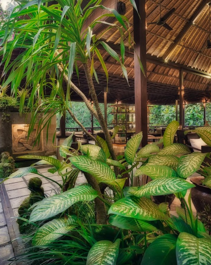 Bali Vacation