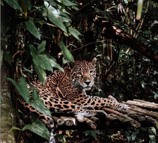 Belize Vacation