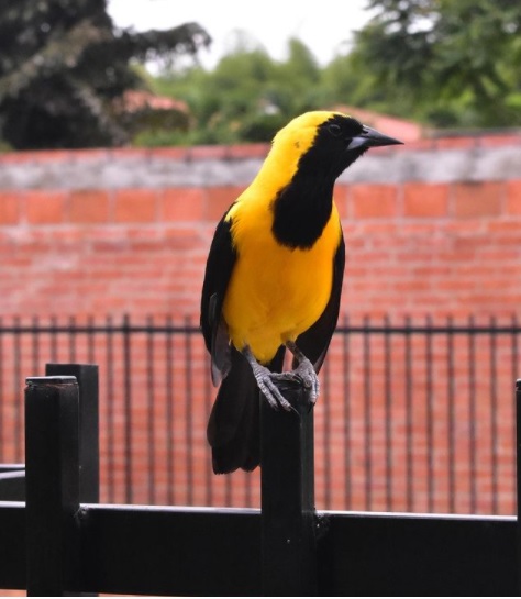 Cancun Mexico Vacation