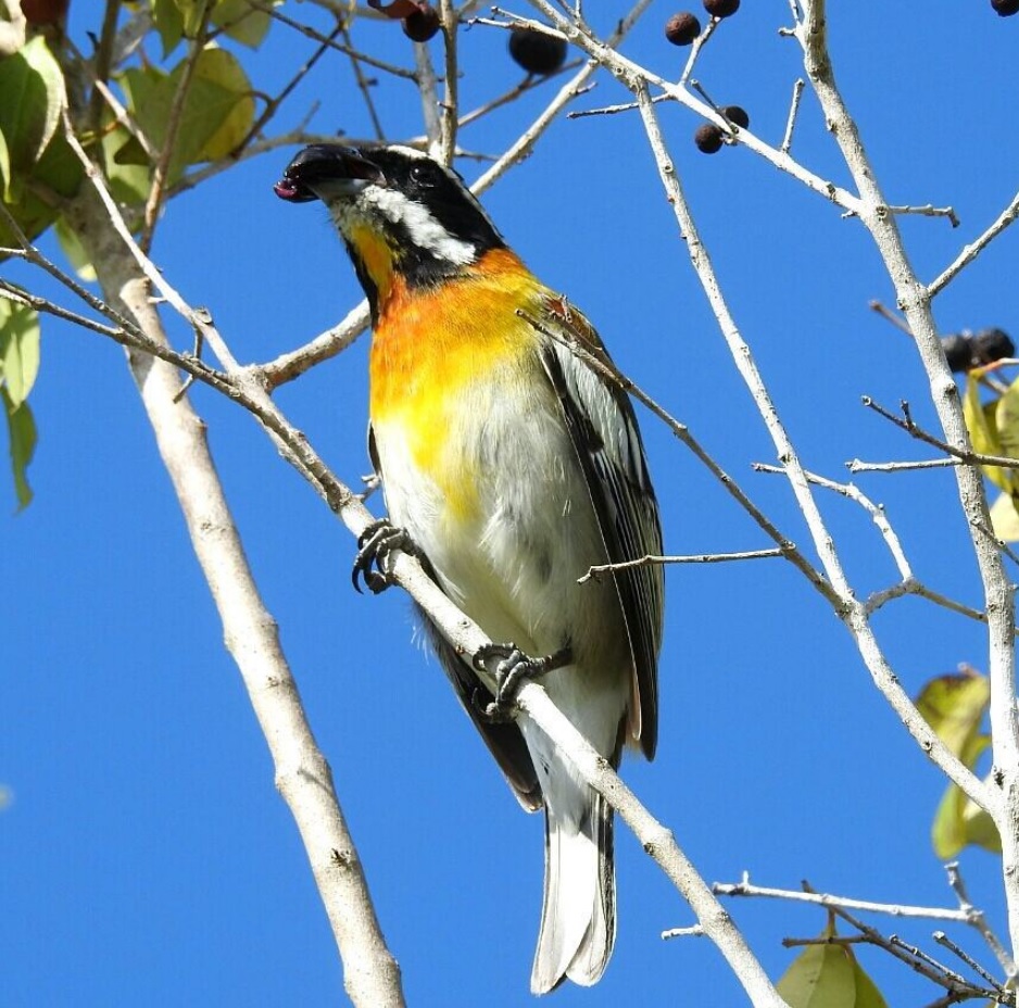 Cayman Islands Vacation