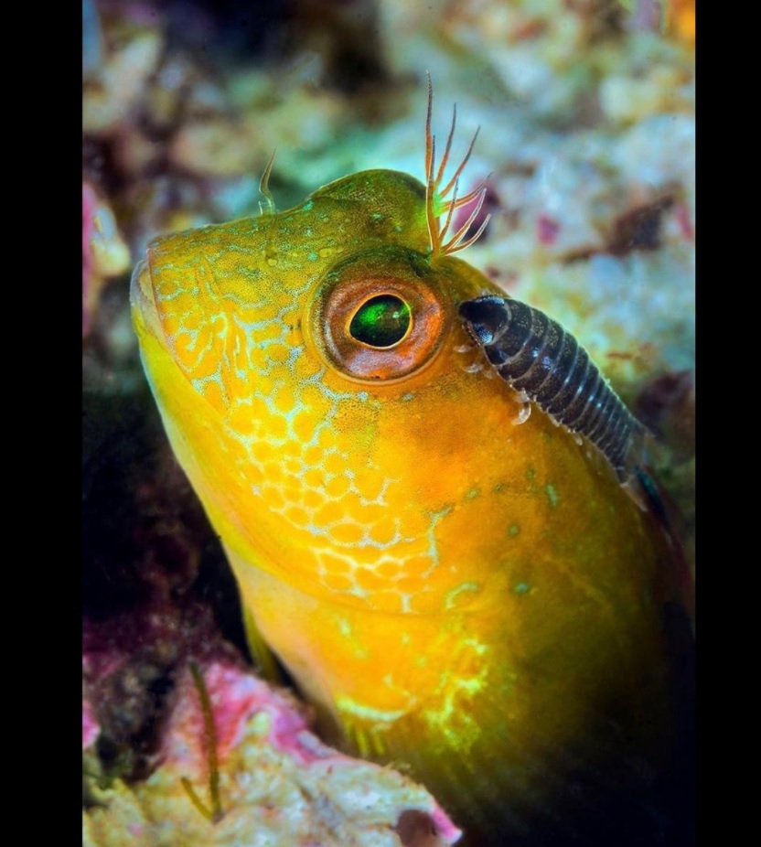 Cayman Islands Vacation