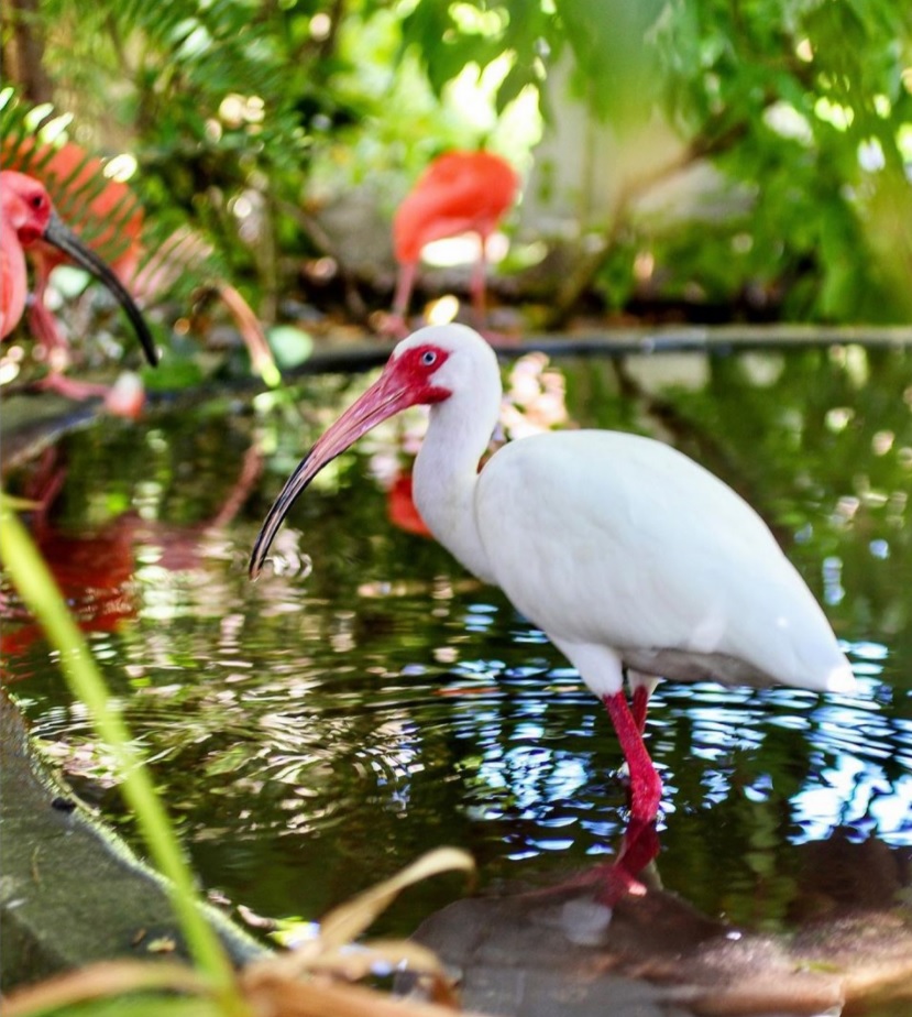 Cayman Islands Vacation