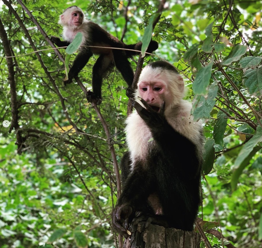 Costa Rica Vacation
