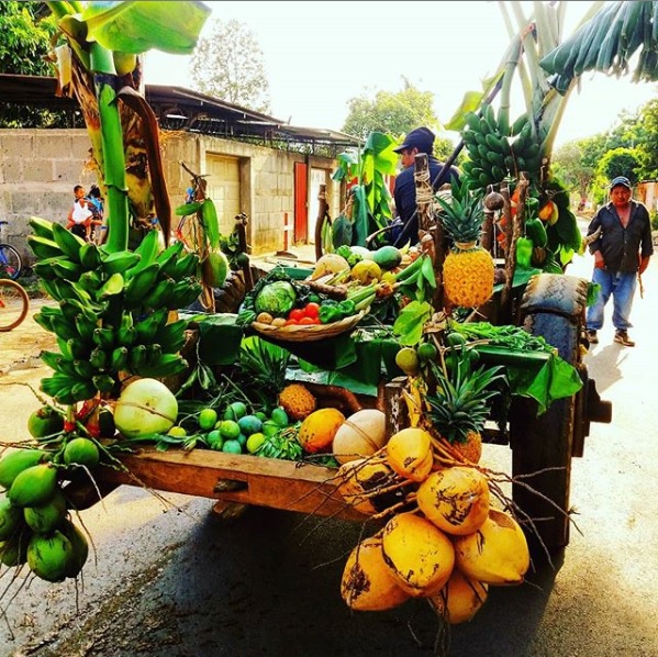 Costa Rica Vacation