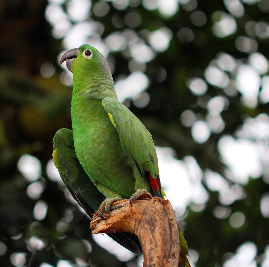Costa Rica Vacaton