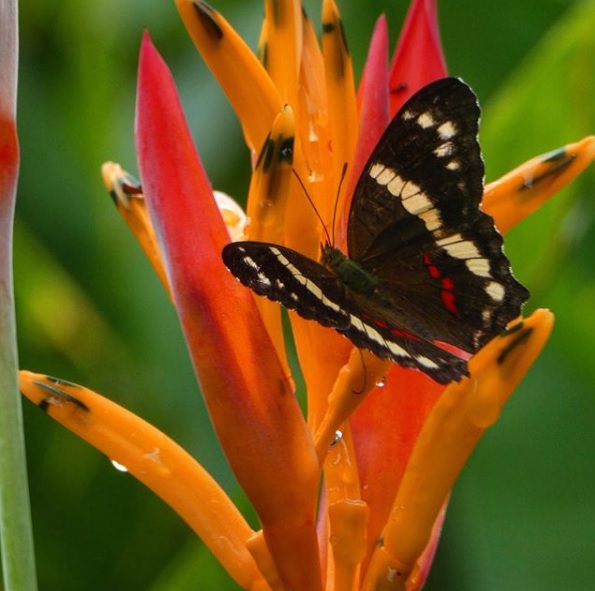 Costa Rica Vacation