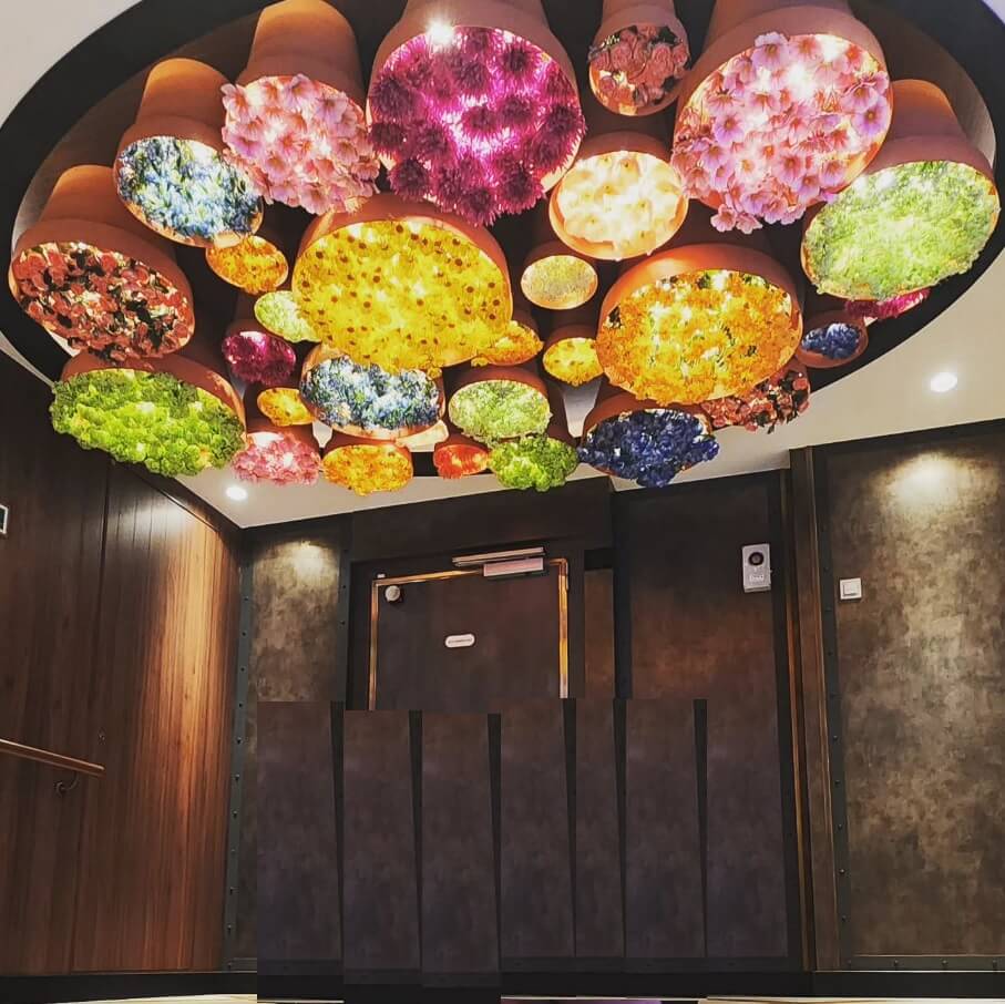 Disney Cruise