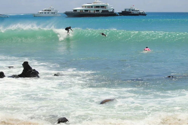 Galapagos Cruises