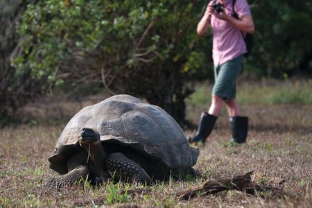 Cruise to Galapagos