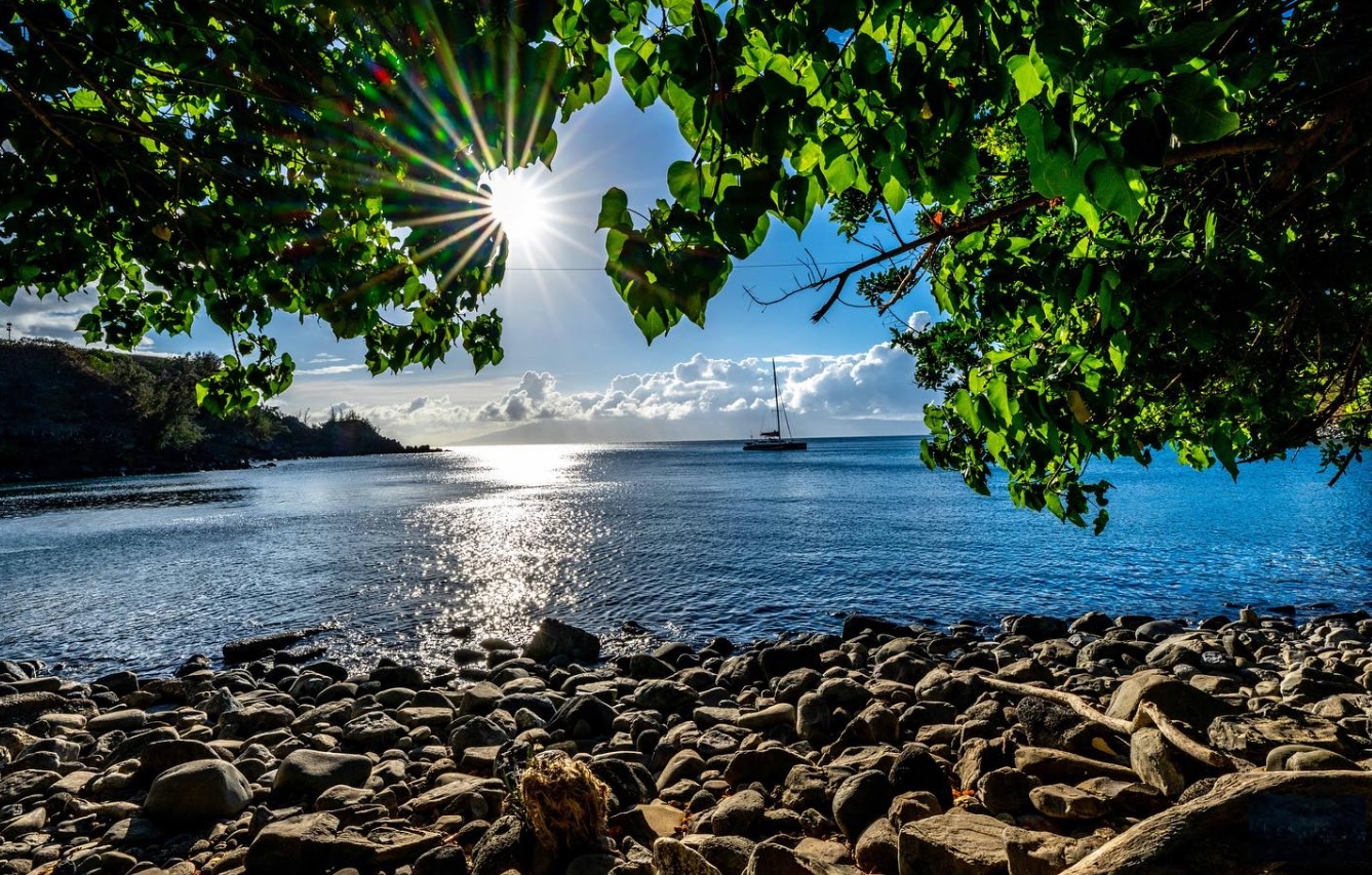 Cruise to Hawaii