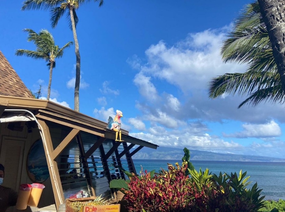 Maui Vacation