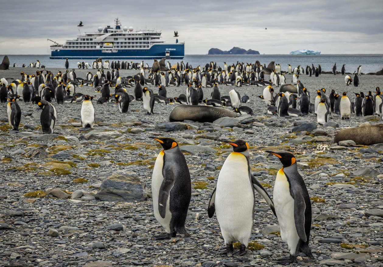 Antarctica Cruises