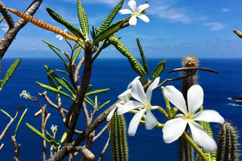 Saint Lucia Vacation