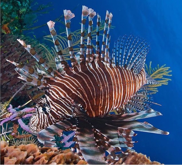 Turks and Caicos Vacation