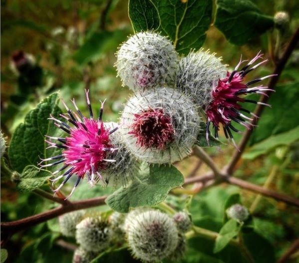 Turks and Caicos Vacation