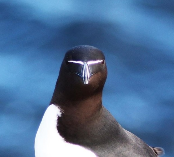 Turks and Caicos Vacation