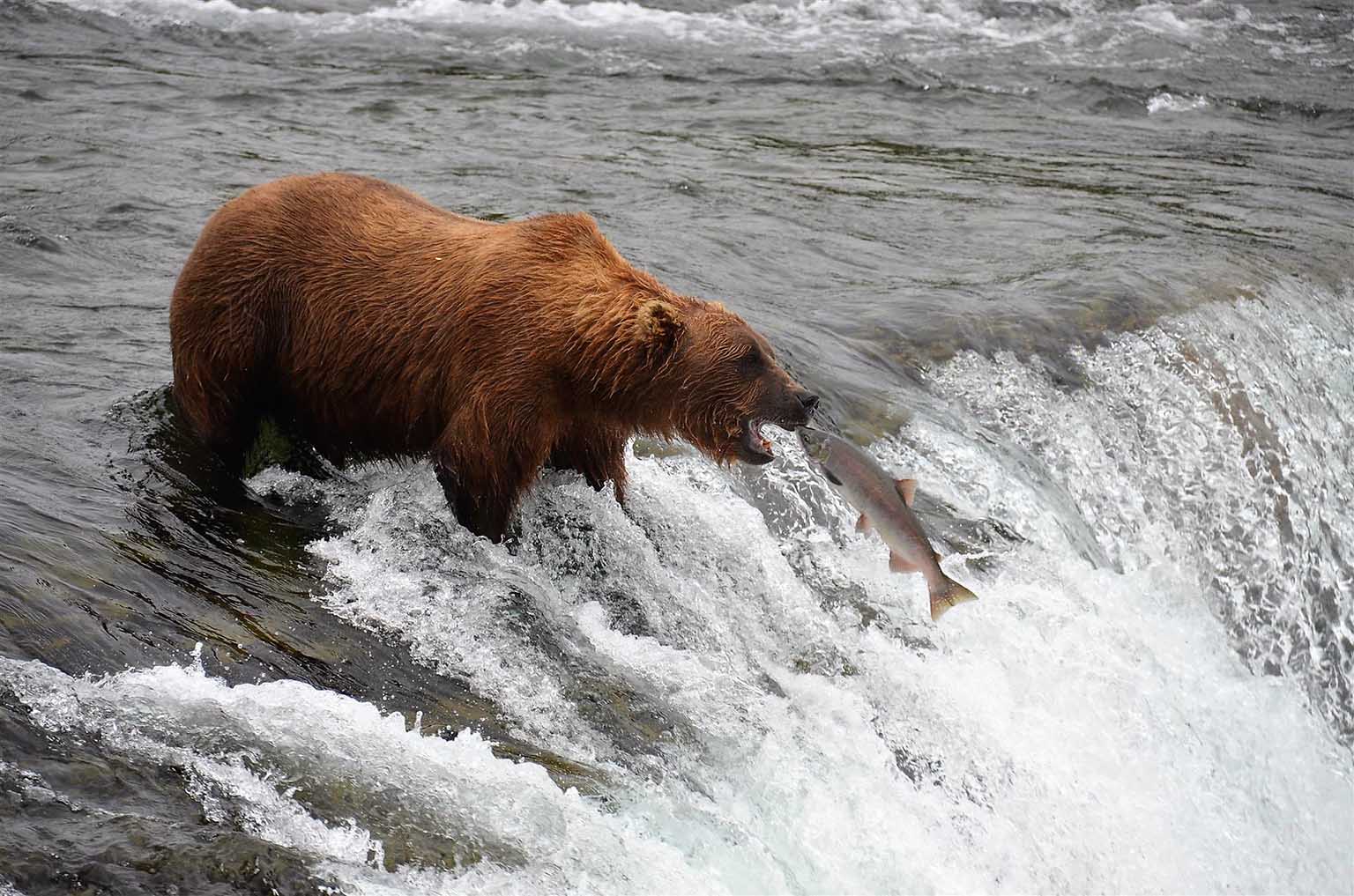 Alaska Cruise