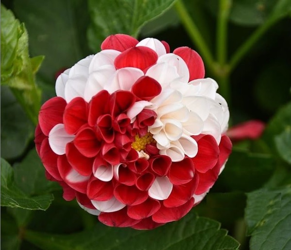 travel agency near me