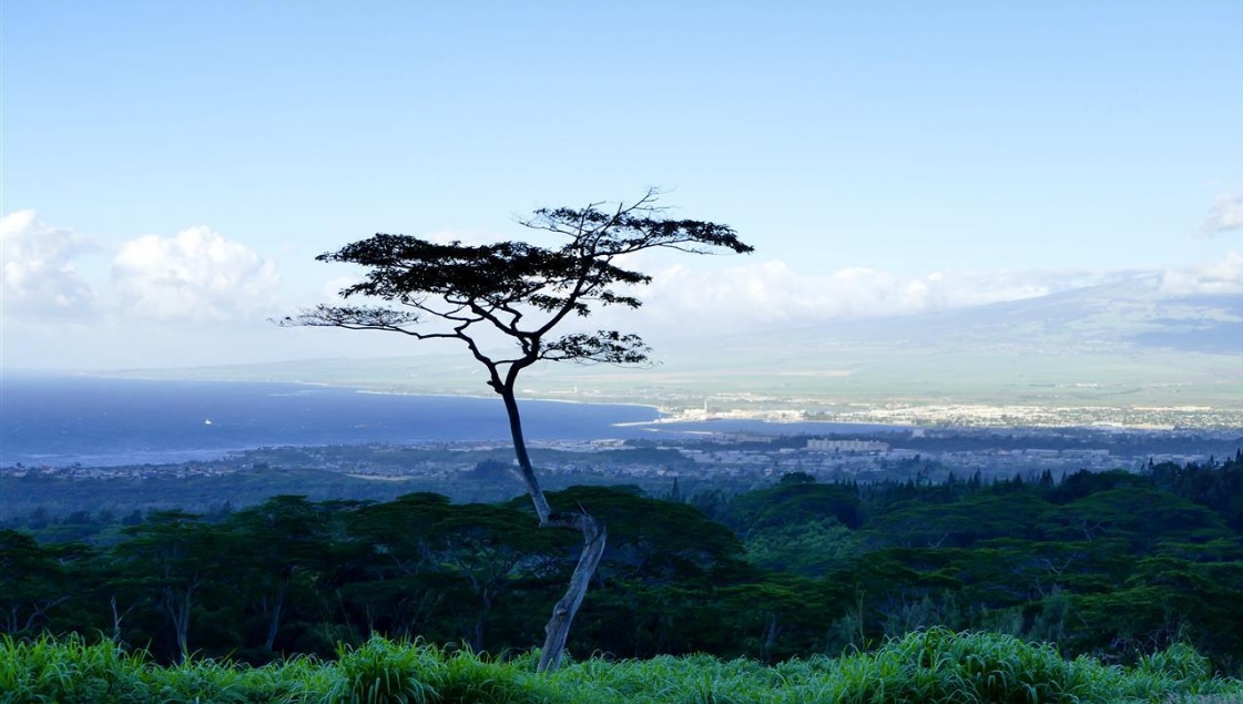 best online travel agency