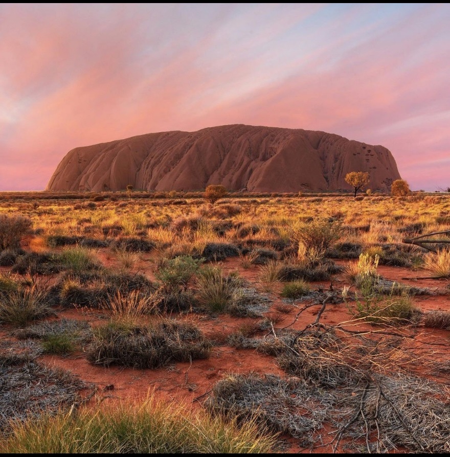 travel agency near me