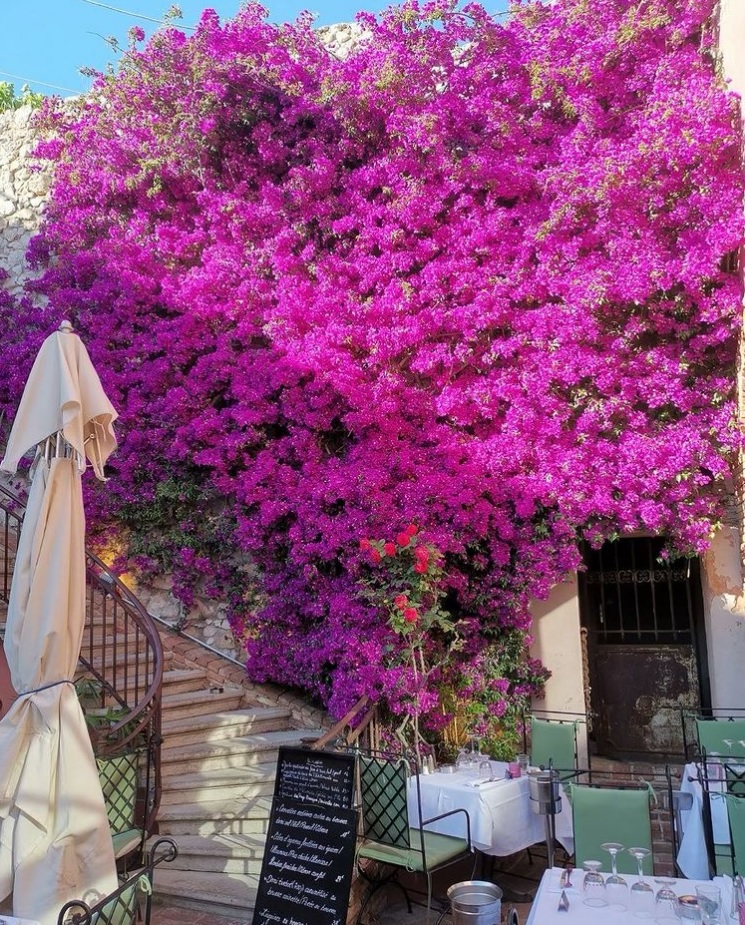 travel agency near me