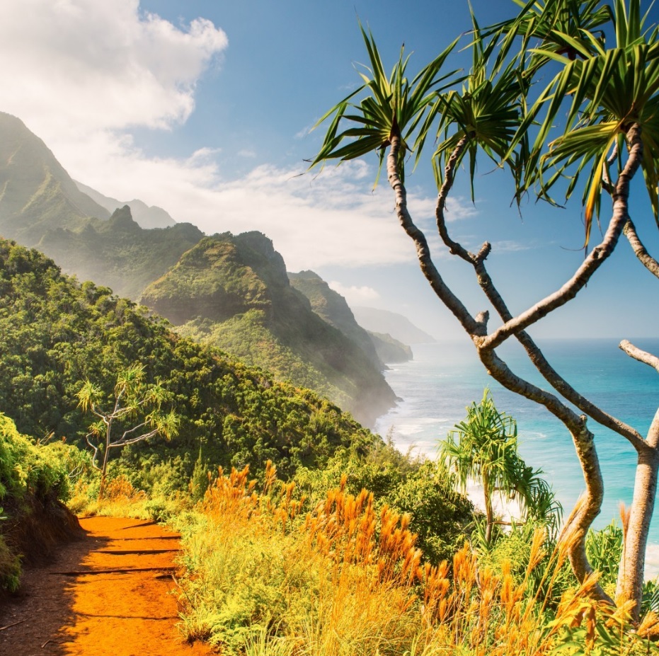 travel agency near me