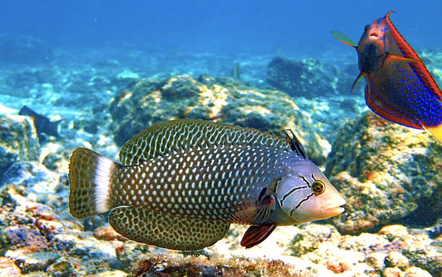 travel agency near me