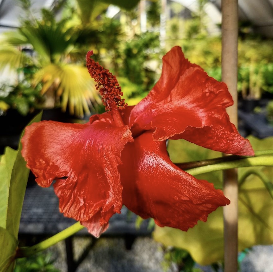 travel agency near me