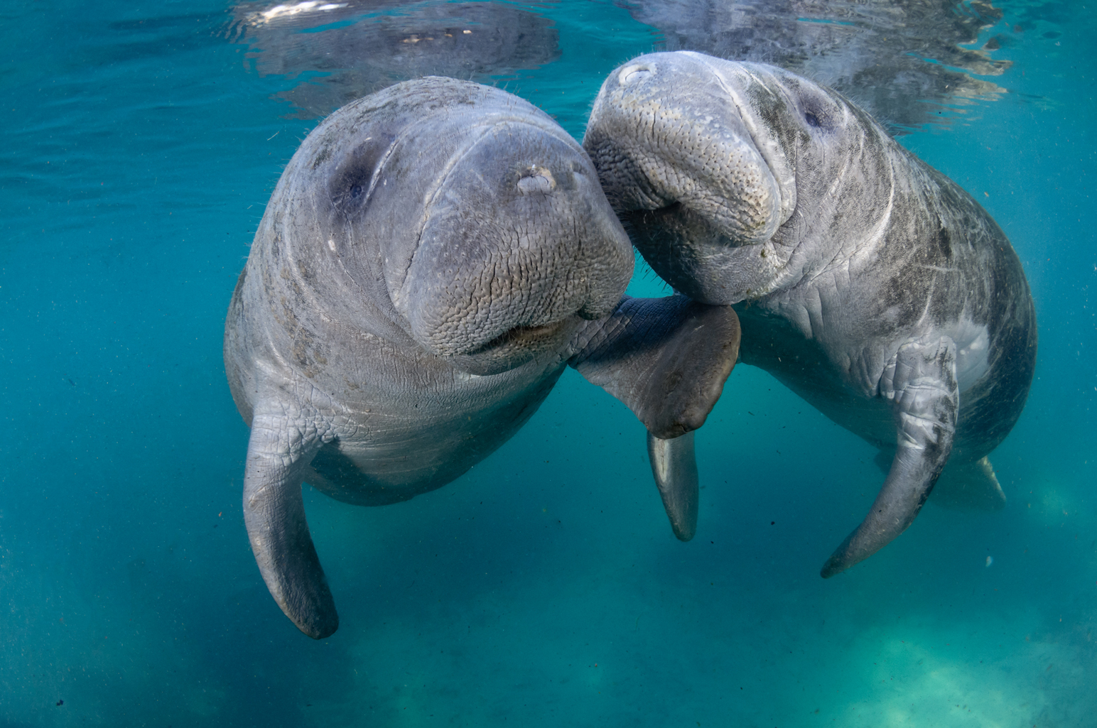 travel agency near me